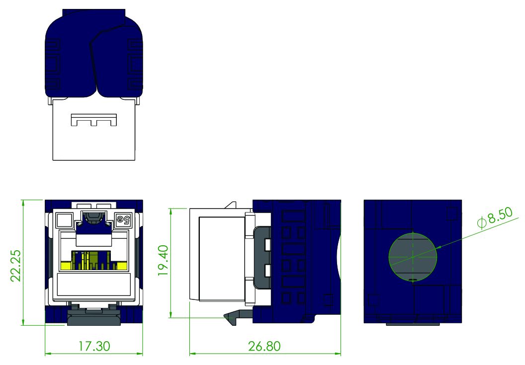 dimensions